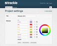 Flexible, custom issue tracker statuses